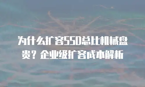 为什么扩容SSD总比机械盘贵？企业级扩容成本解析