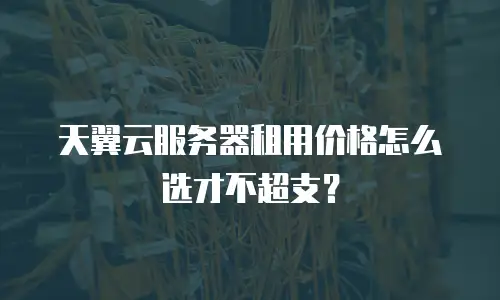 天翼云服务器租用价格怎么选才不超支？