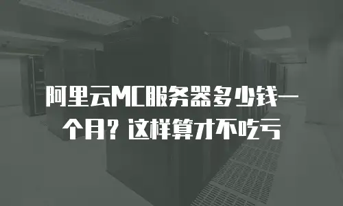 阿里云MC服务器多少钱一个月？这样算才不吃亏