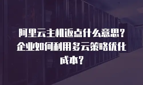阿里云主机返点什么意思？企业如何利用多云策略优化成本？