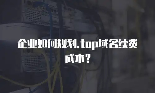 企业如何规划.top域名续费成本？