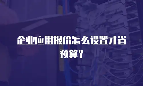企业应用报价怎么设置才省预算？
