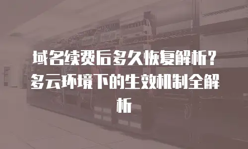 域名续费后多久恢复解析？多云环境下的生效机制全解析