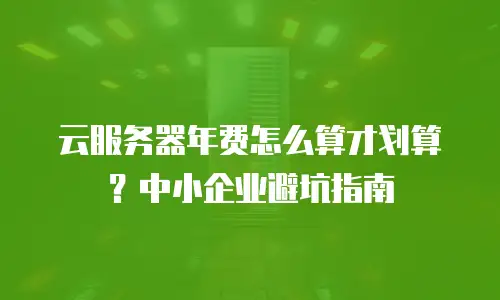 云服务器年费怎么算才划算？中小企业避坑指南