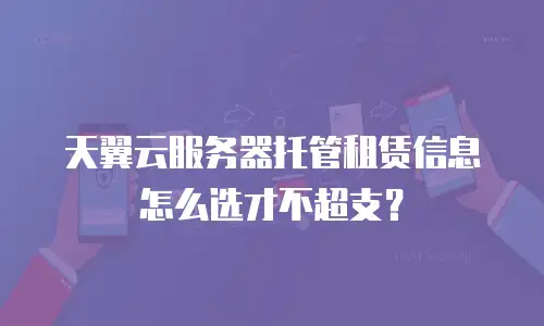 天翼云服务器托管租赁信息怎么选才不超支？