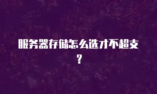 服务器存储怎么选才不超支？