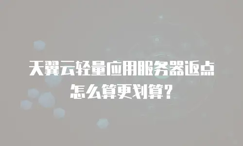 天翼云轻量应用服务器返点怎么算更划算？