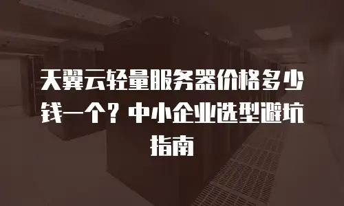天翼云轻量服务器价格多少钱一个？中小企业选型避坑指南