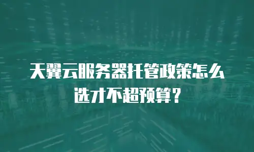 天翼云服务器托管政策怎么选才不超预算？