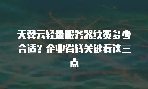 天翼云轻量服务器续费多少合适？企业省钱关键看这三点