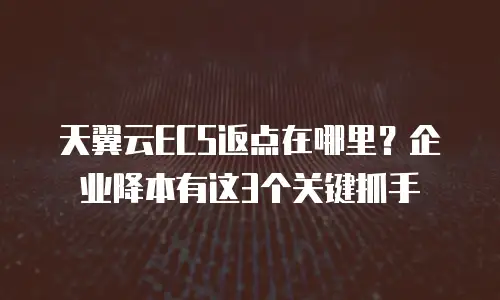 天翼云ECS返点在哪里？企业降本有这3个关键抓手