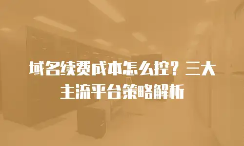 域名续费成本怎么控？三大主流平台策略解析
