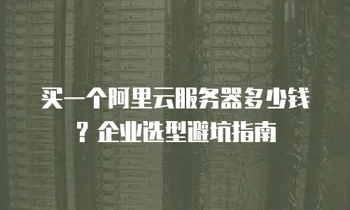 买一个阿里云服务器多少钱？企业选型避坑指南