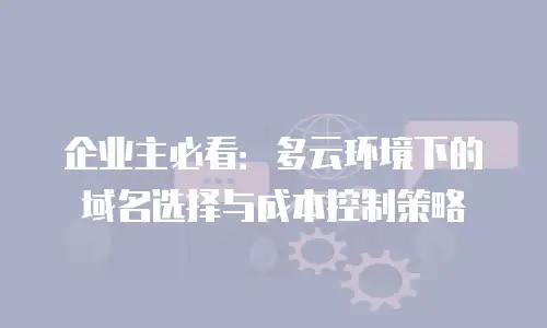 企业主必看：多云环境下的域名选择与成本控制策略