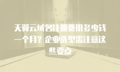 天翼云域名注册费用多少钱一个月？企业选型需注意这些要点