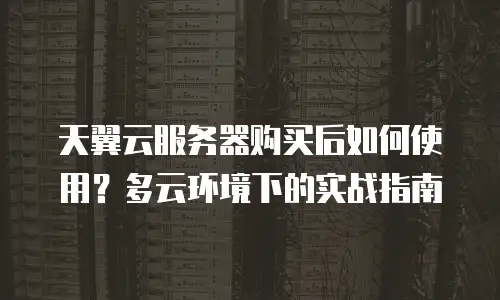 天翼云服务器购买后如何使用？多云环境下的实战指南