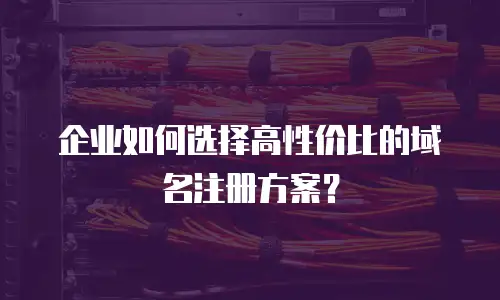 企业如何选择高性价比的域名注册方案？