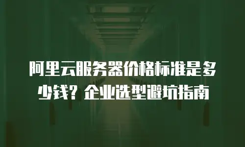阿里云服务器价格标准是多少钱？企业选型避坑指南