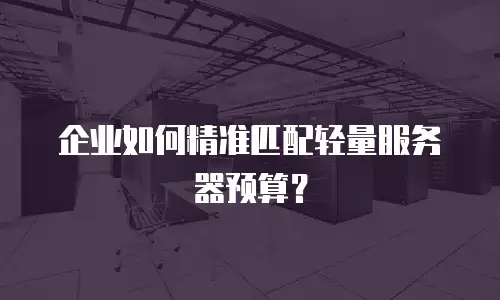 企业如何精准匹配轻量服务器预算？