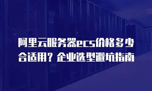 阿里云服务器ecs价格多少合适用？企业选型避坑指南