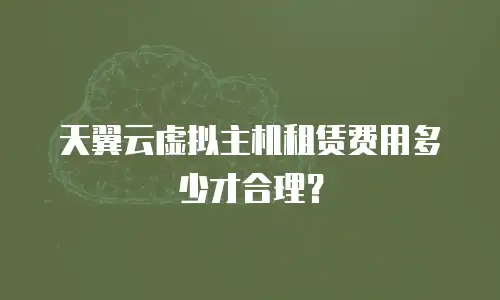天翼云虚拟主机租赁费用多少才合理？
