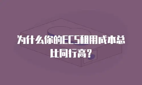 为什么你的ECS租用成本总比同行高？