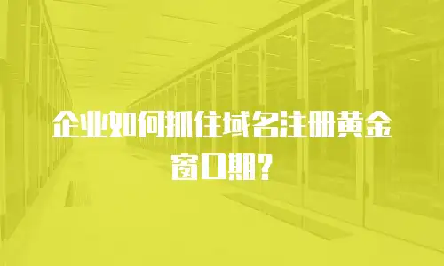 企业如何抓住域名注册黄金窗口期？
