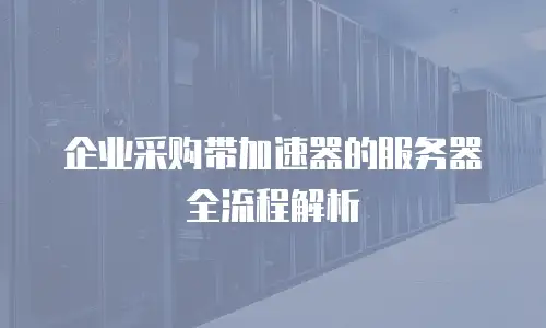 企业采购带加速器的服务器全流程解析