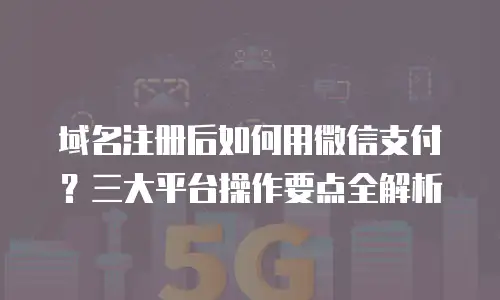 域名注册后如何用微信支付？三大平台操作要点全解析