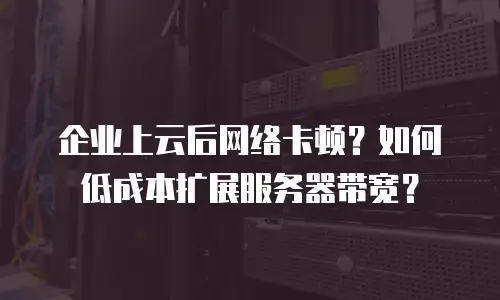 企业上云后网络卡顿？如何低成本扩展服务器带宽？