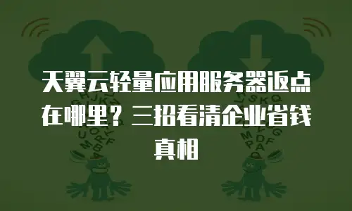 天翼云轻量应用服务器返点在哪里？三招看清企业省钱真相