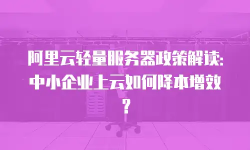 阿里云轻量服务器政策解读：中小企业上云如何降本增效？