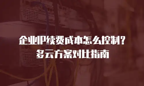 企业IP续费成本怎么控制？多云方案对比指南