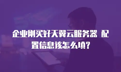 企业刚买好天翼云服务器 配置信息该怎么填？