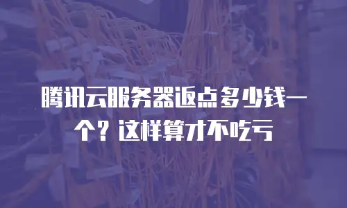 腾讯云服务器返点多少钱一个？这样算才不吃亏