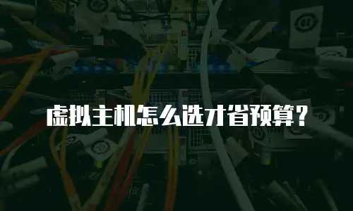 虚拟主机怎么选才省预算？