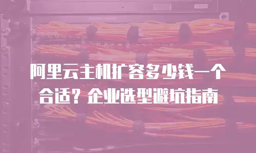 阿里云主机扩容多少钱一个合适？企业选型避坑指南