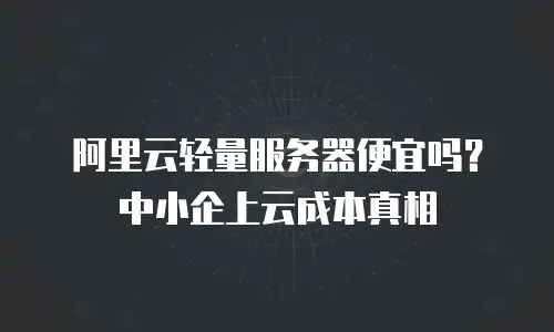 阿里云轻量服务器便宜吗？中小企上云成本真相
