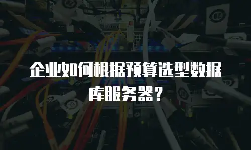 企业如何根据预算选型数据库服务器？