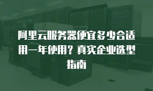 阿里云服务器便宜多少合适用一年使用？真实企业选型指南