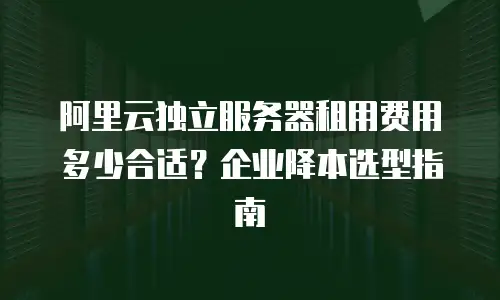 阿里云独立服务器租用费用多少合适？企业降本选型指南