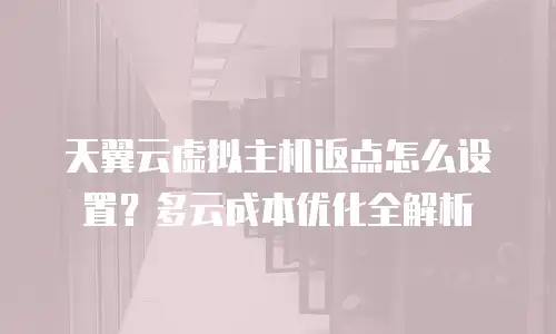 天翼云虚拟主机返点怎么设置？多云成本优化全解析