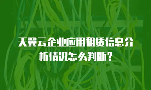 天翼云企业应用租赁信息分析情况怎么判断？