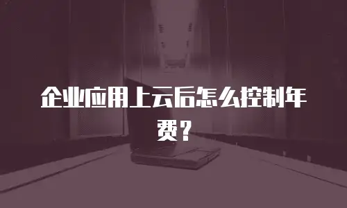 企业应用上云后怎么控制年费？