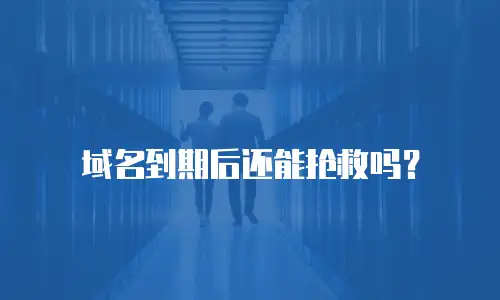 域名到期后还能抢救吗？