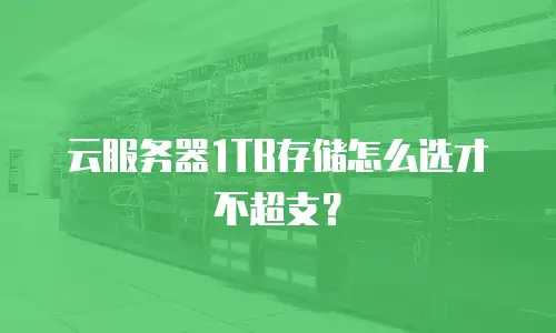云服务器1TB存储怎么选才不超支？