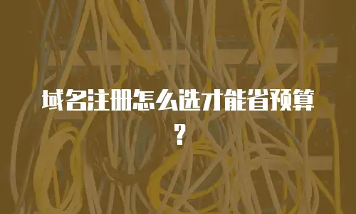 域名注册怎么选才能省预算？