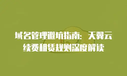 域名管理避坑指南：天翼云续费租赁规则深度解读