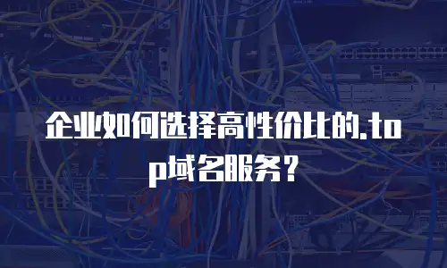 企业如何选择高性价比的.top域名服务？