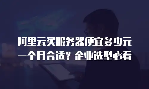 阿里云买服务器便宜多少元一个月合适？企业选型必看